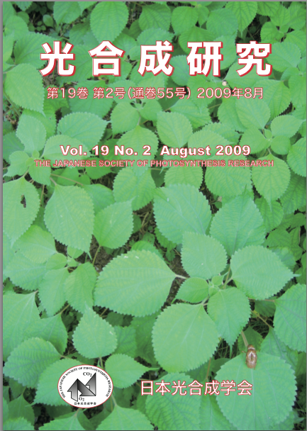光合成研究55号
