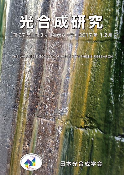 光合成研究80号